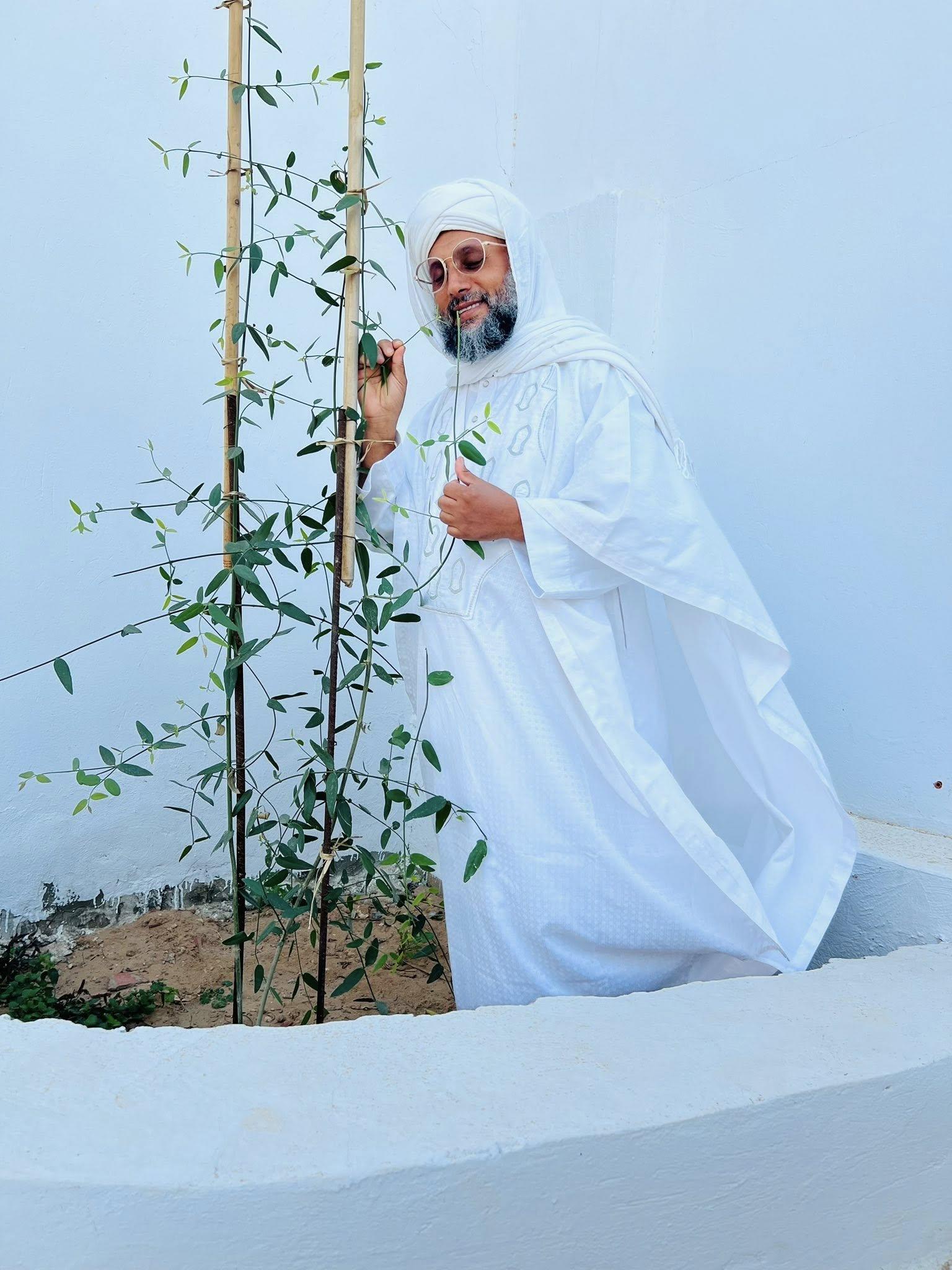 سيدي أحمد الهادي